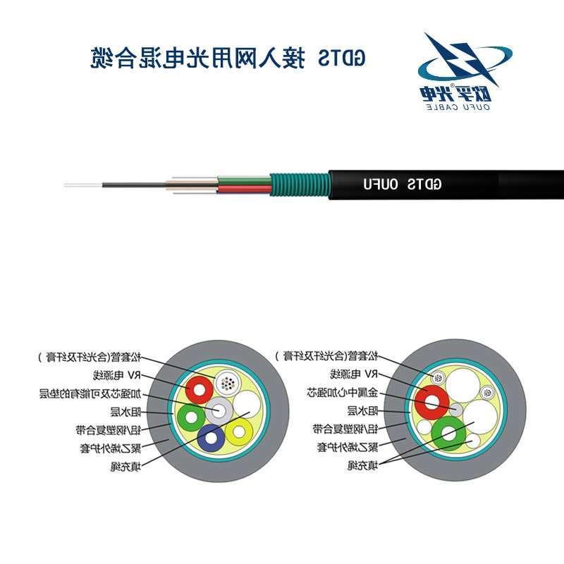 淮北市GDTS光缆