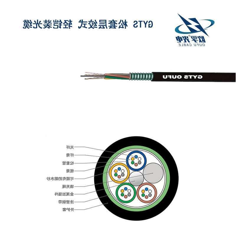 黔南布依族苗族自治州GYTS光缆