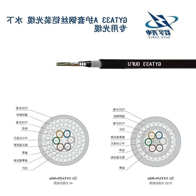 甘孜藏族自治州GYTA33光缆