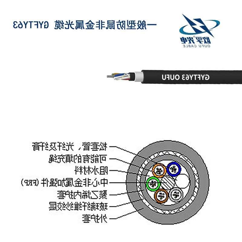 乌兰察布市防鼠咬GYFTY63光缆